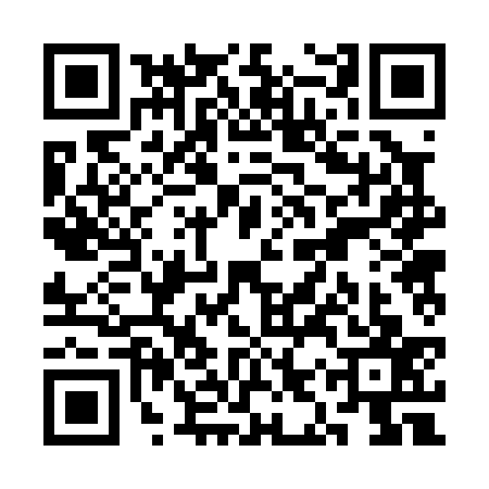 QR code for SIR0376