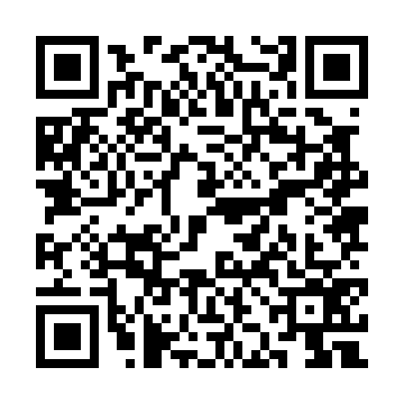 QR code for SJJ0768