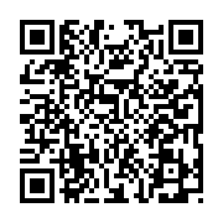QR code for SKI4391