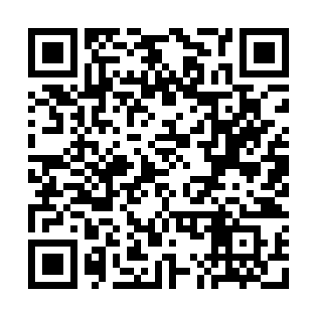 QR code for SM91ZS