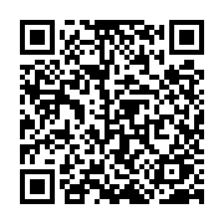 QR code for SM95ZU
