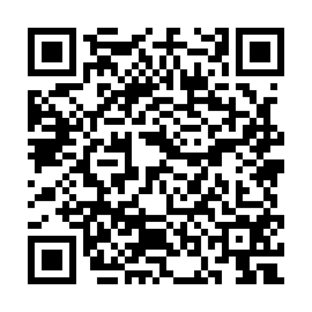 QR code for SOM1542