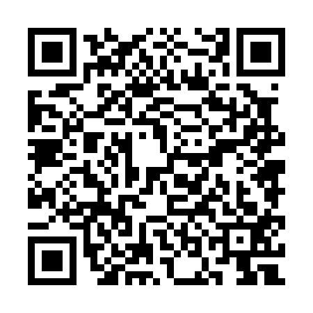 QR code for SON0136