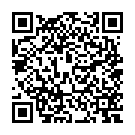 QR code for SOO6565