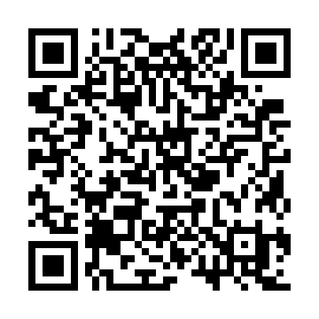 QR code for SP17JI