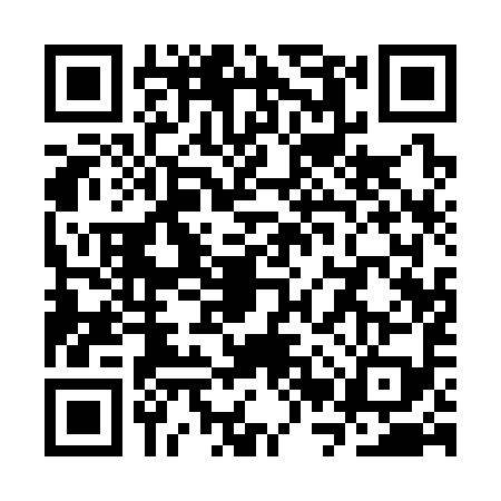 QR code for SRQ3993