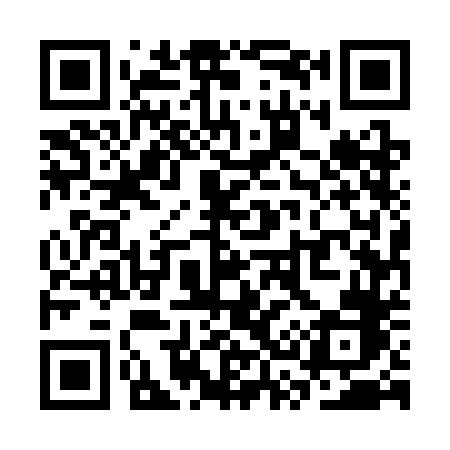 QR code for SS53DB