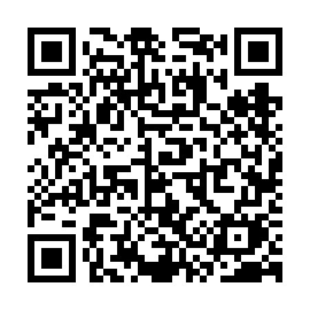 QR code for SS66GM