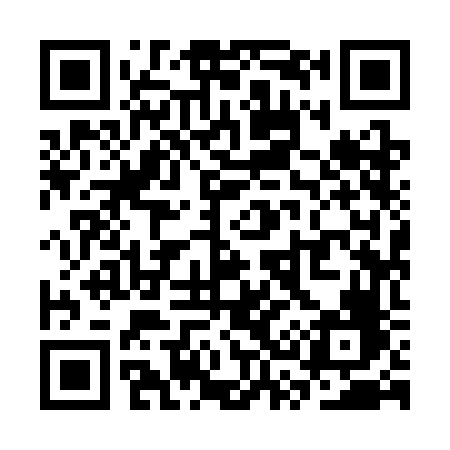 QR code for SS93FF