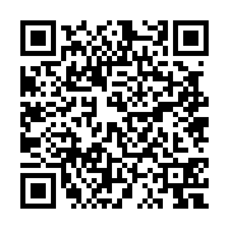 QR code for SSZ0308