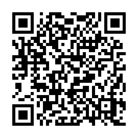 QR code for ST29SZ
