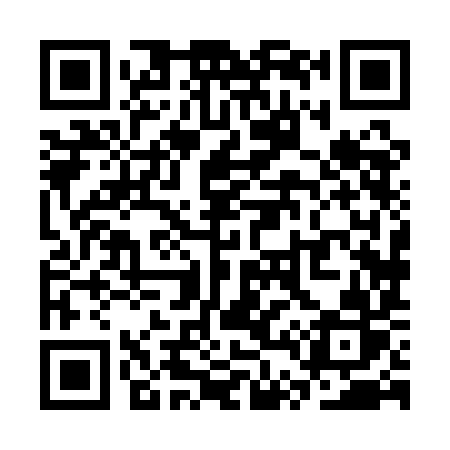 QR code for ST81IR