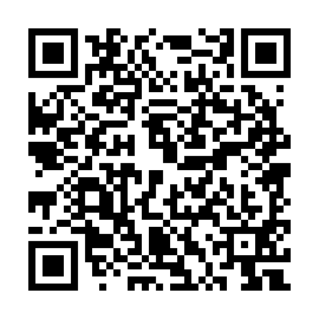 QR code for STP2919