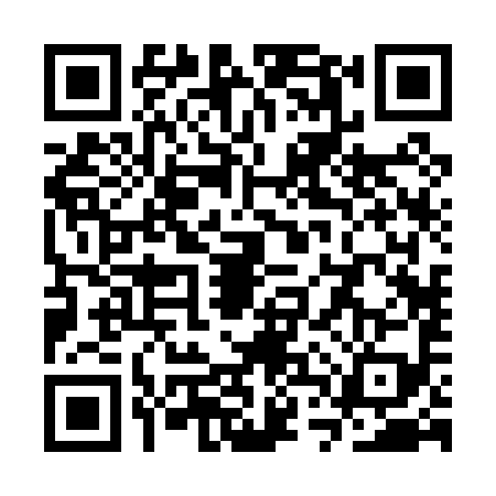 QR code for STR0991