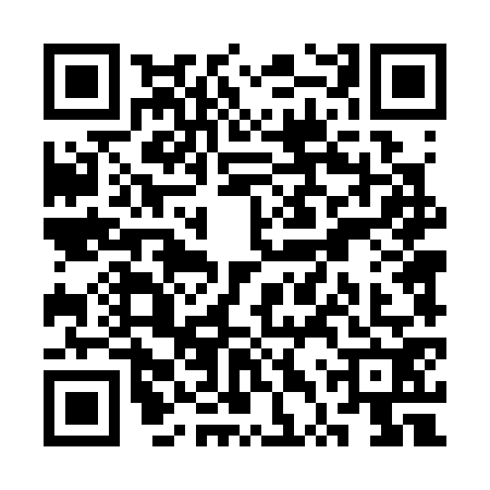 QR code for STT3729