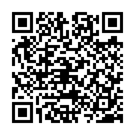QR code for SVN6729