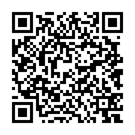 QR code for SVT0333
