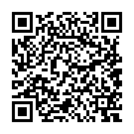 QR code for SVV9133