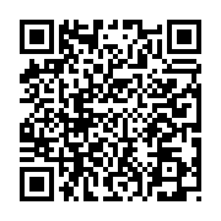 QR code for SWP0300