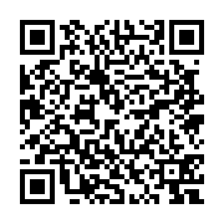 QR code for SYQ0319