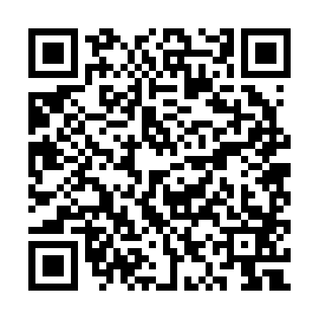 QR code for SYR2833