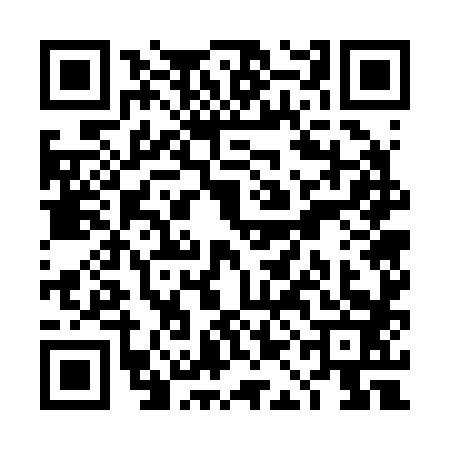 QR code for TAG2838