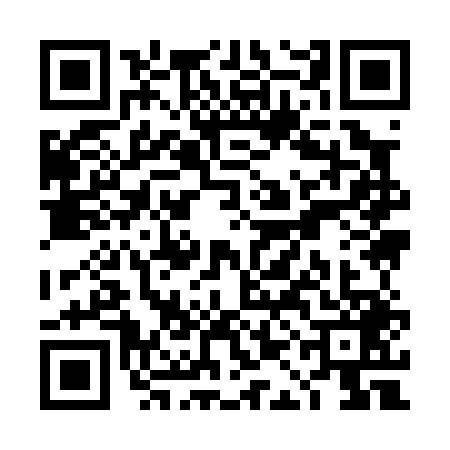 QR code for TAI0493