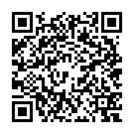 QR code for TBU6333