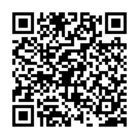 QR code for TDG2509