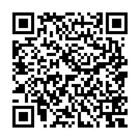 QR code for TDH6595