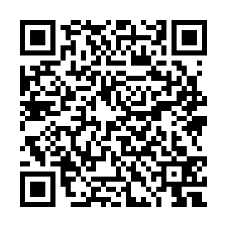 QR code for TDI3336
