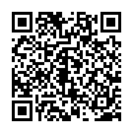 QR code for TDL3171