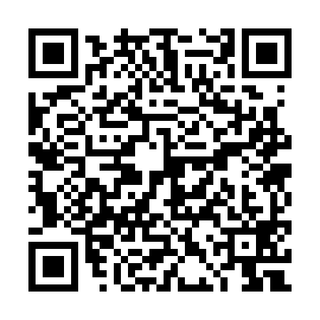 QR code for TDS3994