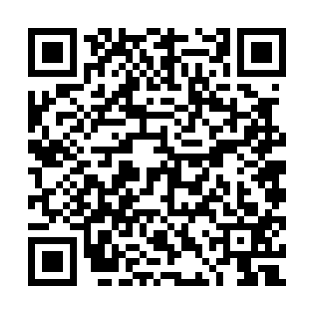 QR code for TDV0138