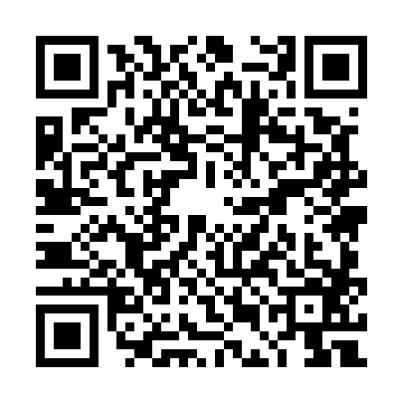 QR code for TEM5863