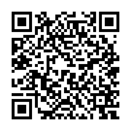 QR code for THE3663