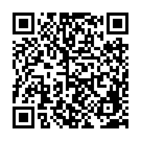 QR code for TI12VF