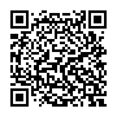 QR code for TI31XV