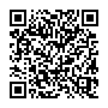 QR code for TI53XR