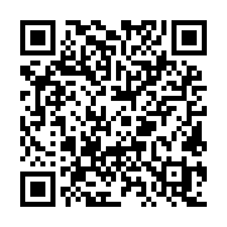 QR code for TI59LI