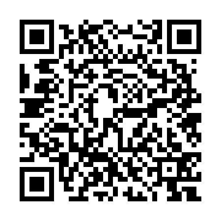 QR code for TIB6339