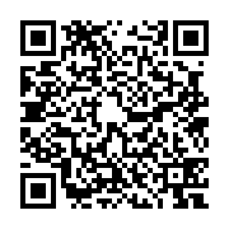 QR code for TIC0390