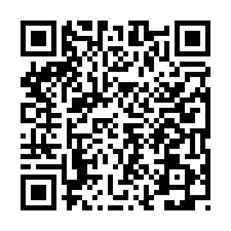 QR code for TII0419
