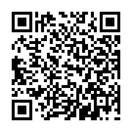 QR code for TIL2004