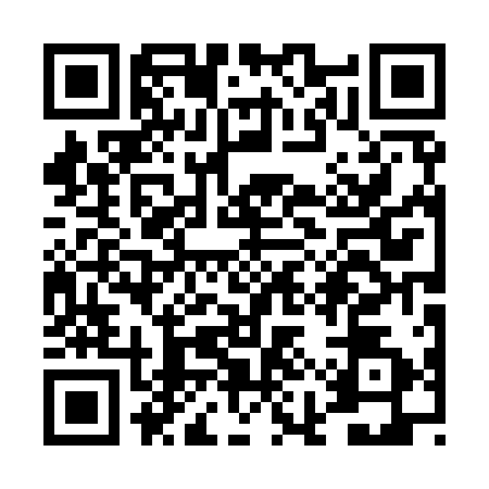 QR code for TIP9125