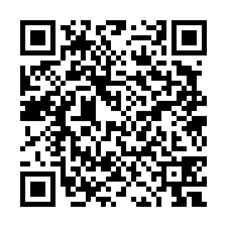 QR code for TJC4383
