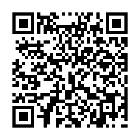 QR code for TL13IK