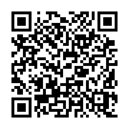QR code for TL13IW
