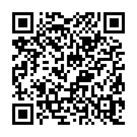QR code for TL38IM