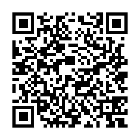 QR code for TLE1385
